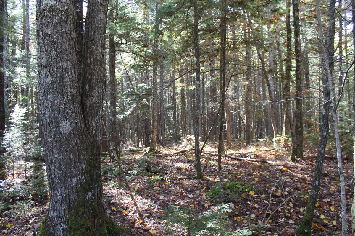 Northfield, ME 04654,Lot 6 Two Lakes DR