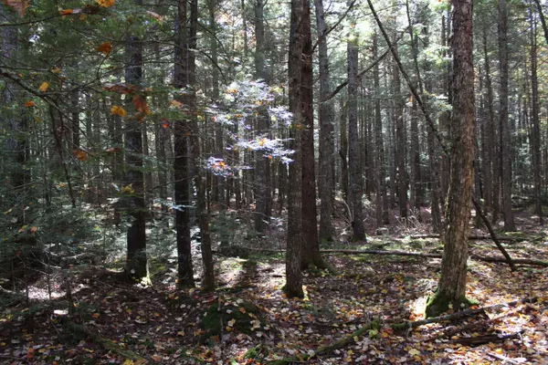 Northfield, ME 04654,Lot 6 Two Lakes DR