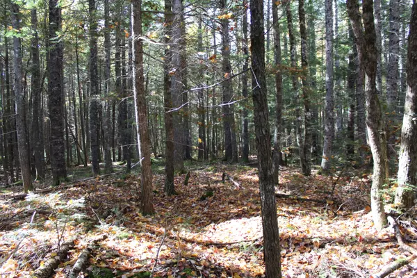 Northfield, ME 04654,Lot 6 Two Lakes DR
