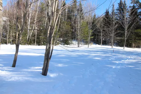 Sandy River Plt, ME 04970,M16/L57 Main ST