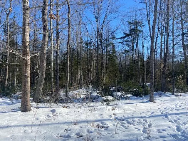 M13 L3 Mount RD, Burnham, ME 04922