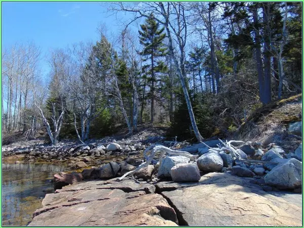Steuben, ME 04680,Lot 10-3 Rogers Point Rd