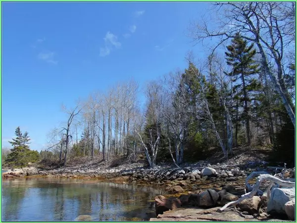 Steuben, ME 04680,Lot 10-3 Rogers Point Rd