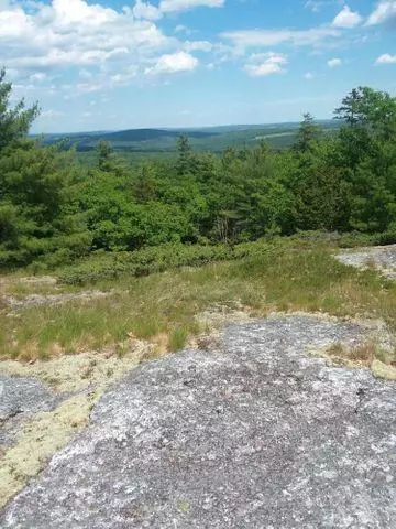Buckfield, ME 04220,0 Lot #4, Sodom RD