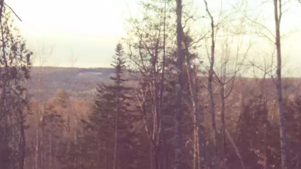 000 Peasetown Rd, Hope, ME 04847