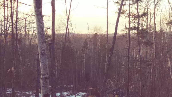 Hope, ME 04847,000 Peasetown Rd