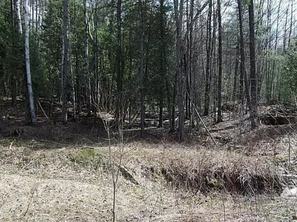 Sidney, ME 04330,Lot 13-3 Poinsettia LN