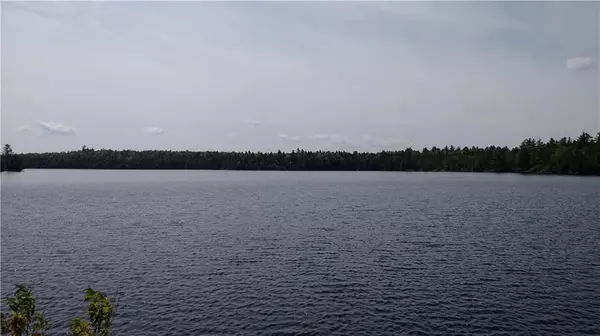 Marion Twp, ME 04628,Off Route 191