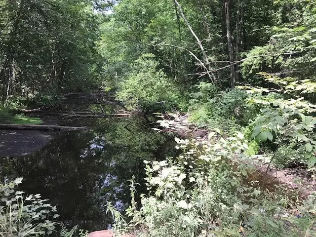 0 Sokokis TRL N, Cornish, ME 04020