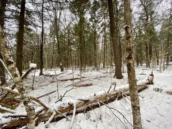Parsonsfield, ME 04047,00 Hobbs Swamp RD