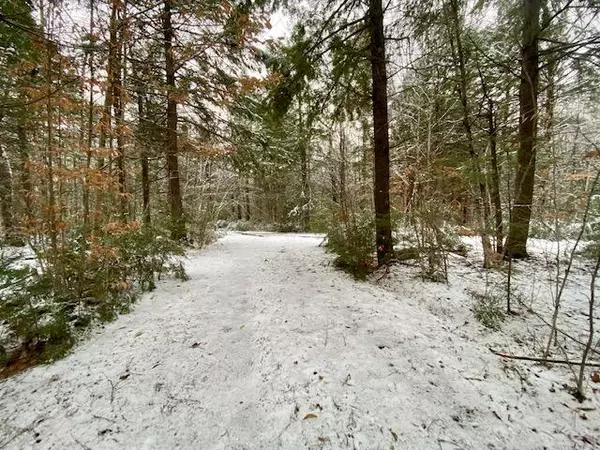 Parsonsfield, ME 04047,00 Hobbs Swamp RD