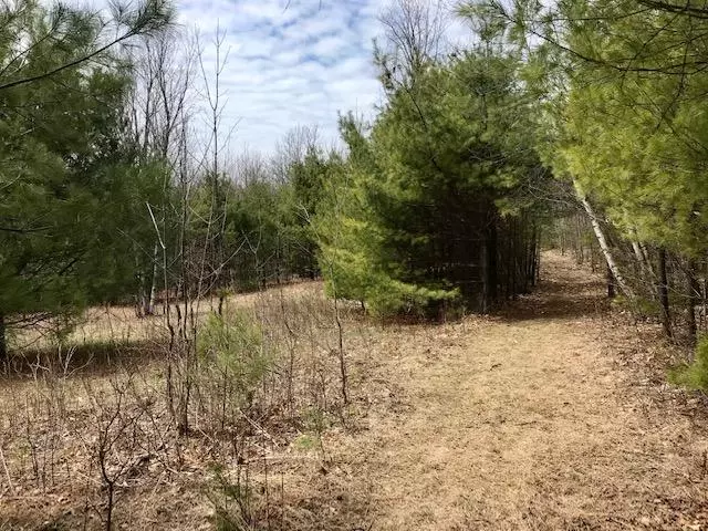 Hiram, ME 04041,0 New Settlement RD