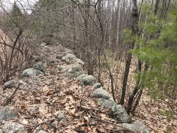 Hiram, ME 04041,0 New Settlement RD