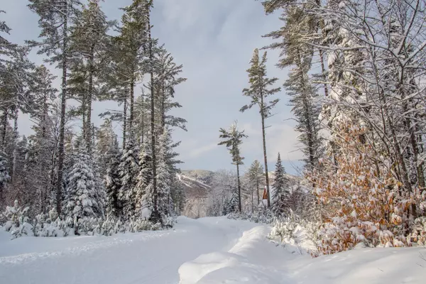Newry, ME 04261,Lot 51 King Pine DR