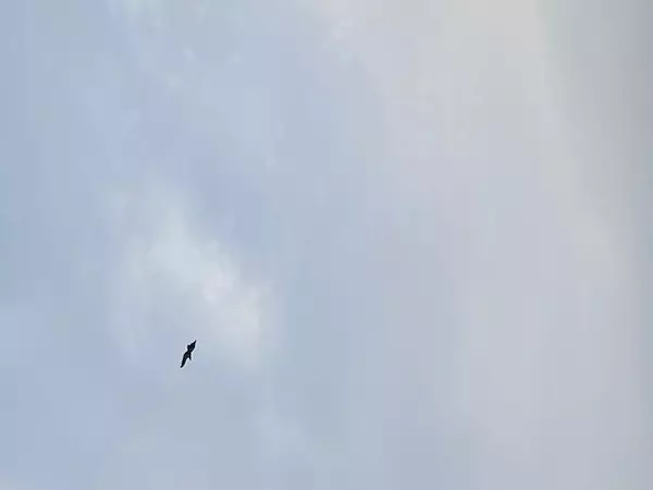 West Gardiner, ME 04345,4 Primrose LN