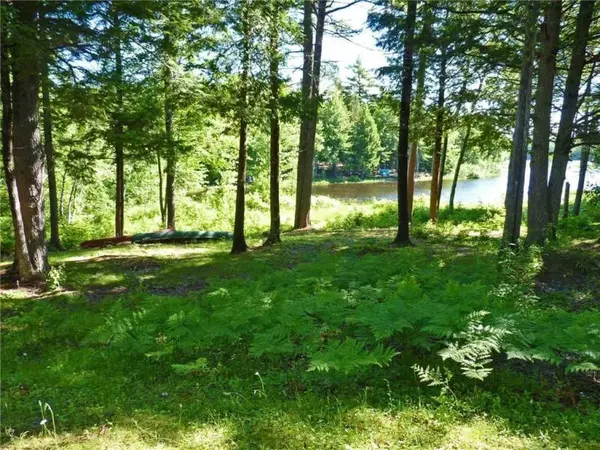 Mariaville, ME 04605,99 Silsby RD