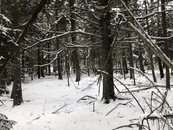 Swans Island, ME 04685,0 Red Point RD