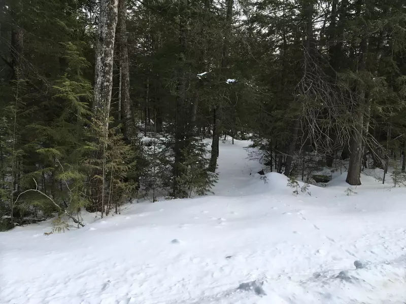 01 lot 26 County Road, Greenfield Twp, ME 04461