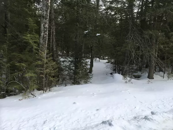 01 lot 26 County Road, Greenfield Twp, ME 04461