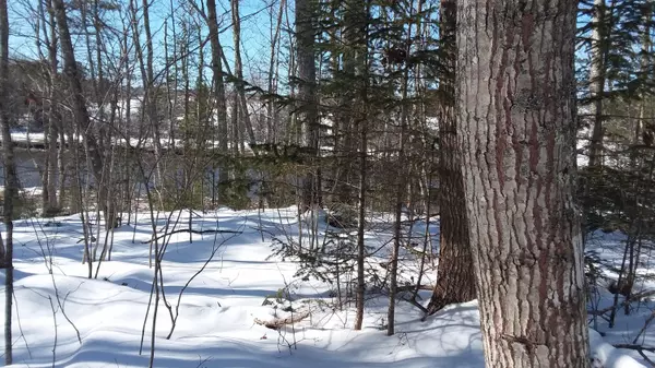 Warren, ME 04864,00 Arboretum Park DR