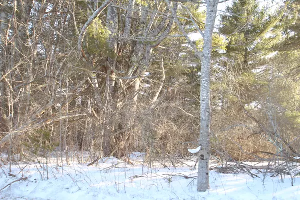 Warren, ME 04864,9999 Patterson Mill RD