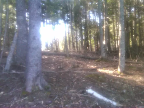 Mariaville, ME 04605,3 Heath RD