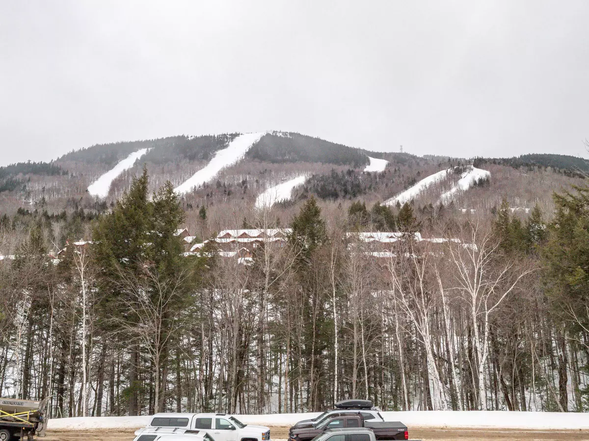 Newry, ME 04261,16 Roadrunner DR #A106