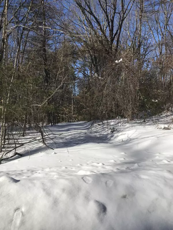 Sebago, ME 04029,541 Convene RD