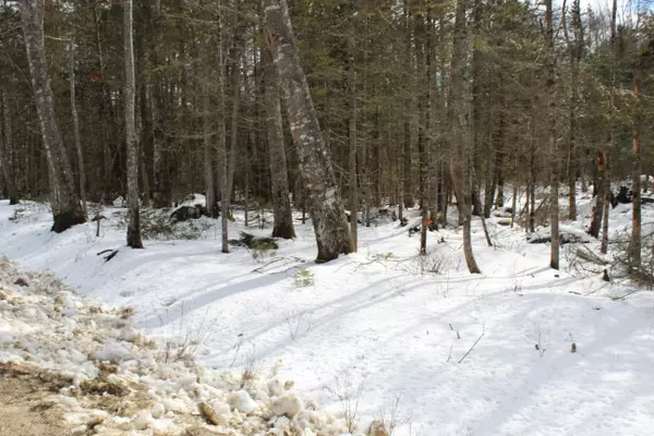 Orland, ME 04472,0 Gilpin RD