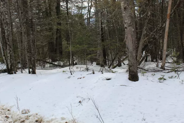 Orland, ME 04472,0 Gilpin RD