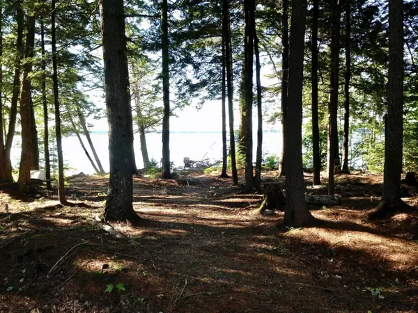 Mariaville, ME 04605,134 Schoolhouse RD