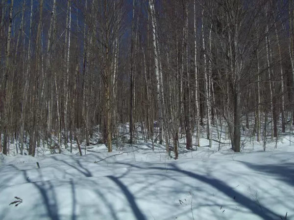 Lakeville, ME 04487,tbd Upper Pug Lake Road