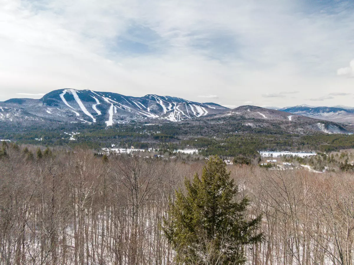 Newry, ME 04261,Lot 40 Appalachian DR