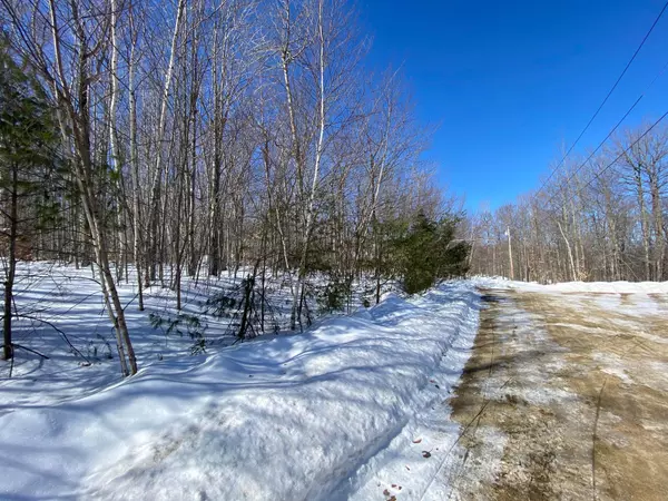 Greenwood, ME 04255,Lot 4 Log Cabin LN
