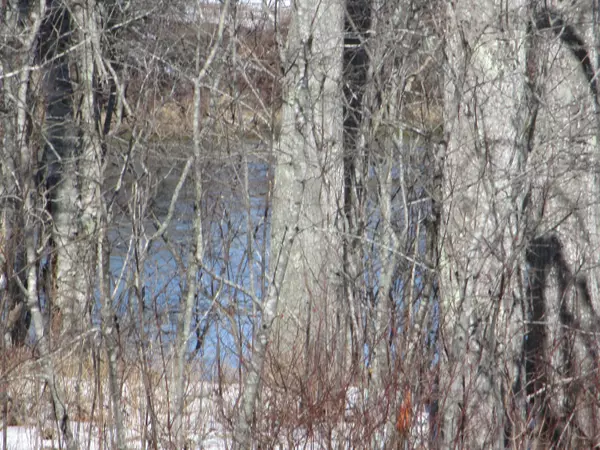 South Thomaston, ME 04858,38 Hayden Point RD