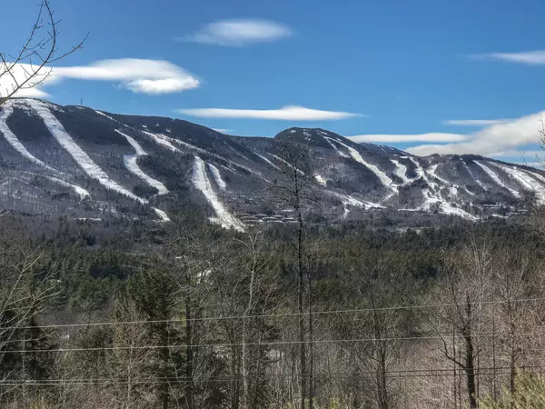 Newry, ME 04261,Lot 11 Vista RD