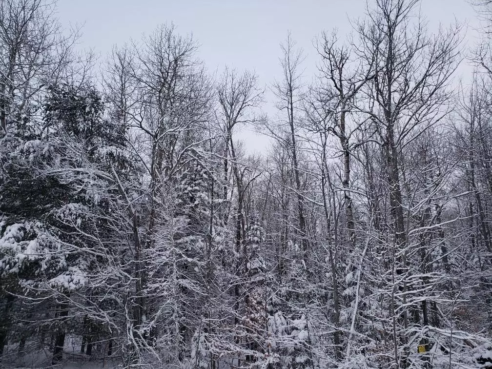 Orrington, ME 04474,24 Hobbs RD