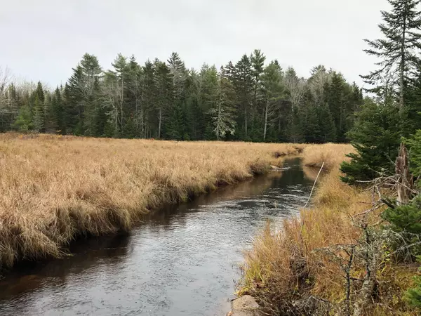 77 Farm Edge RD, Sullivan, ME 04664