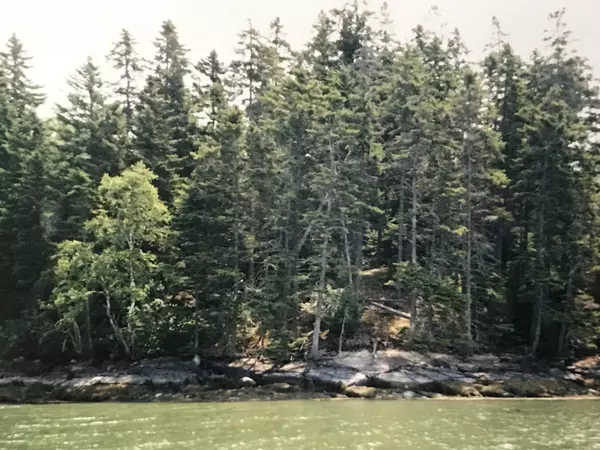 Roque Bluffs, ME 04654,Lot #74 Nepp Point RD