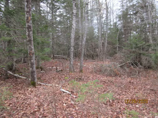 230 Cross RD, Columbia Falls, ME 04623