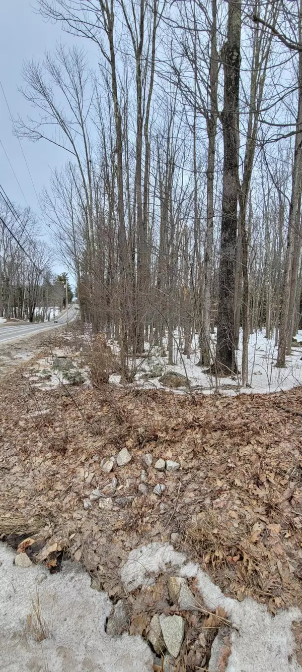 Lyman, ME 04002,TBD S. Waterboro/Clarks Woods Rd