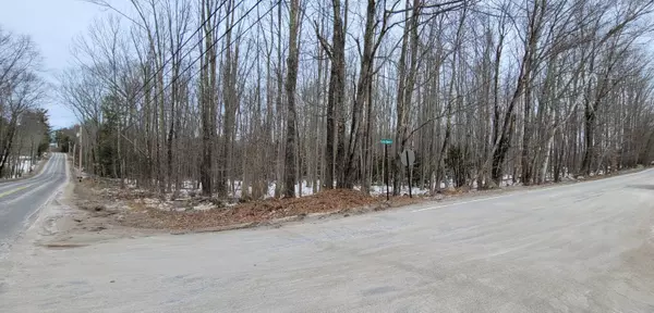 TBD S. Waterboro/Clarks Woods Rd, Lyman, ME 04002