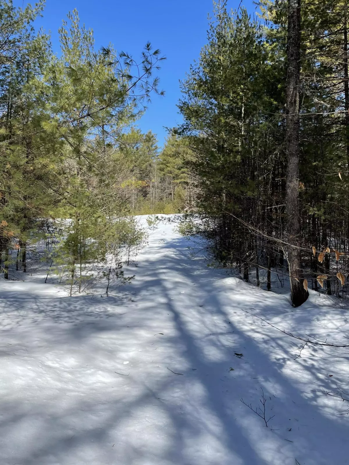 Sweden, ME 04040,00 Lovell RD