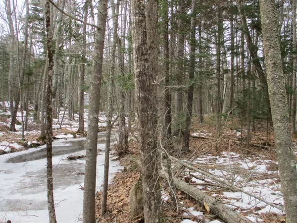 Rockport, ME 04856,Lot 19 Roxmont RD