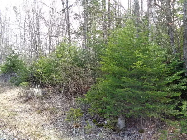 Steuben, ME 04680,22 Shady LN