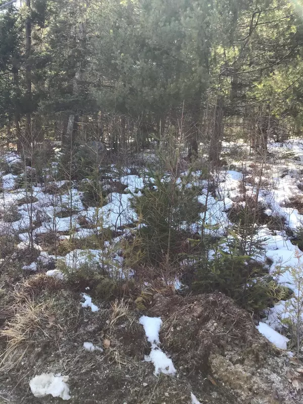 Steuben, ME 04680,0 Dyer Bay Road