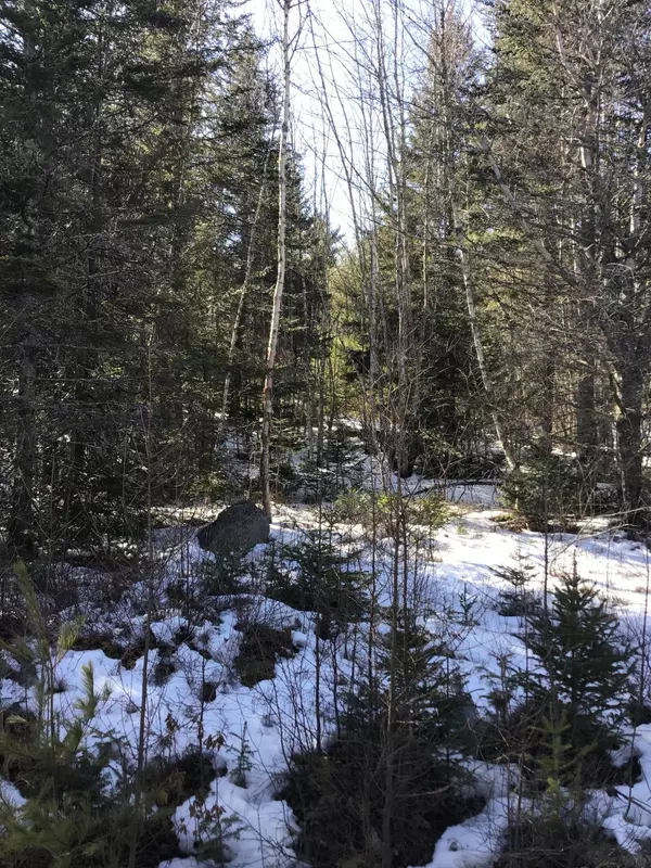 0 Dyer Bay Road, Steuben, ME 04680