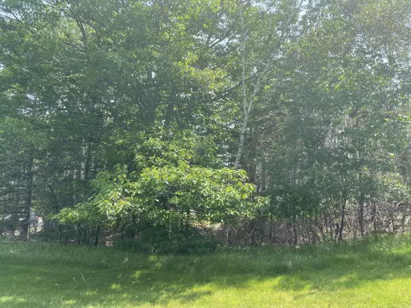 Bar Harbor, ME 04609,6B Bogue Chitto LN