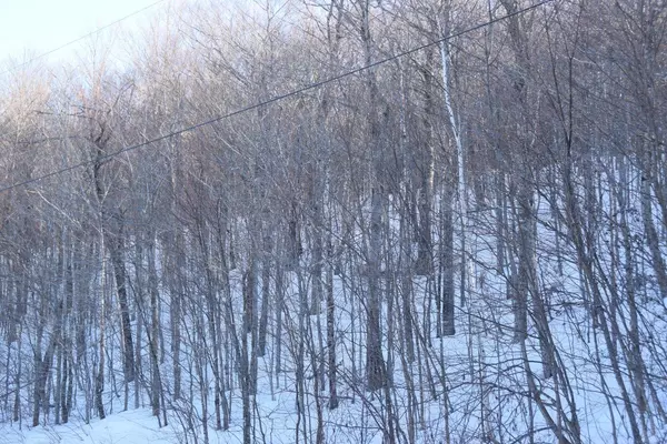 Kingfield, ME 04947,M12 L1-32 Ira Mountain RD