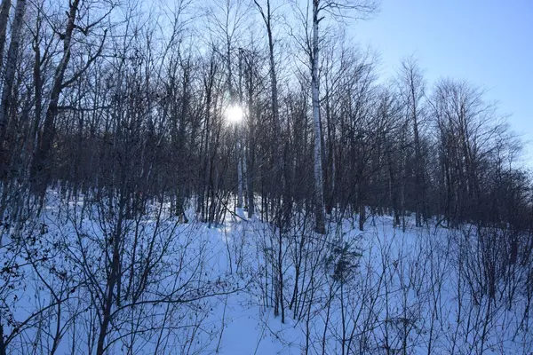 Kingfield, ME 04947,M12 L1-32 Ira Mountain RD